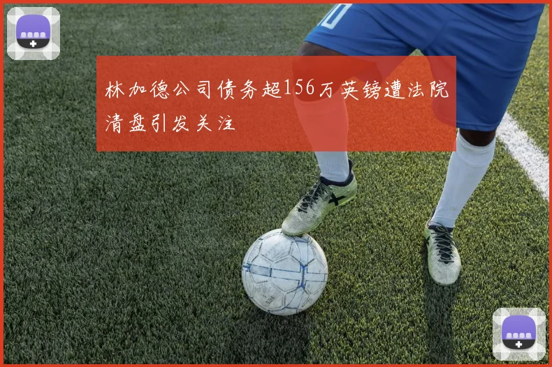 林加德公司债务超156万英镑遭法院清盘引发关注
