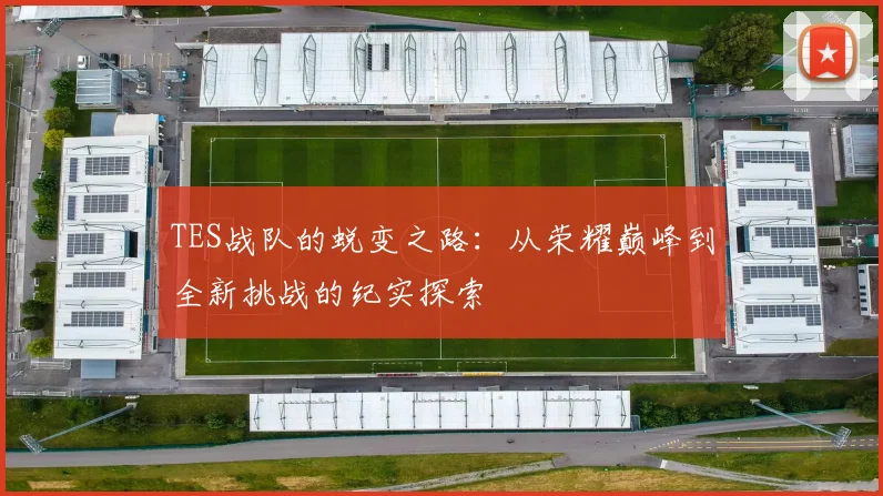 TES战队的蜕变之路：从荣耀巅峰到全新挑战的纪实探索