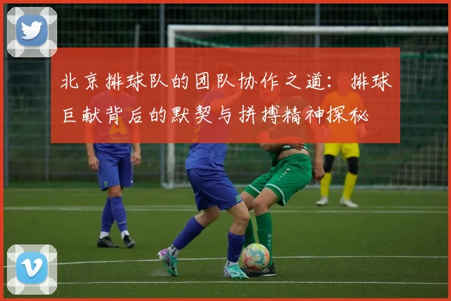 北京排球队的团队协作之道：排球巨献背后的默契与拼搏精神探秘